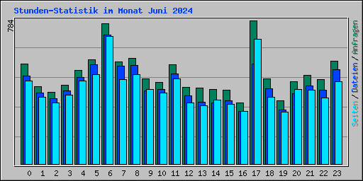 Stunden-Statistik im Monat Juni 2024