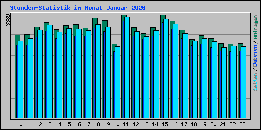 Stunden-Statistik im Monat Januar 2026