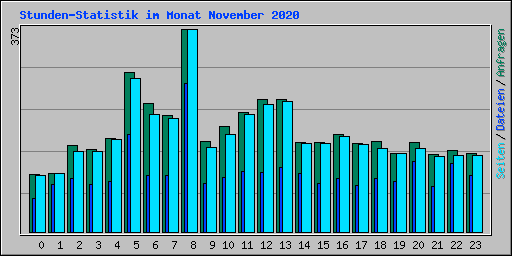 Stunden-Statistik im Monat November 2020