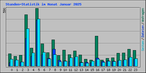 Stunden-Statistik im Monat Januar 2025