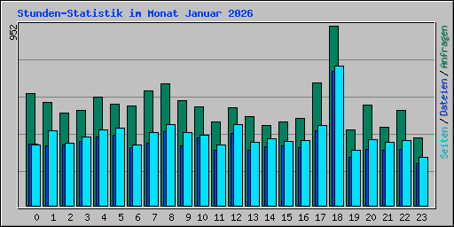 Stunden-Statistik im Monat Januar 2026